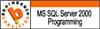 SQL2K Programming