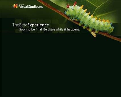 Visual Studio 2005 Beta 2 Wallpaper